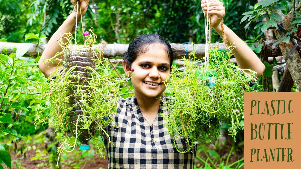 Waste Bottle Planter || Gardening ideas Malayalam II Gardening ideas for beginners Malayalam