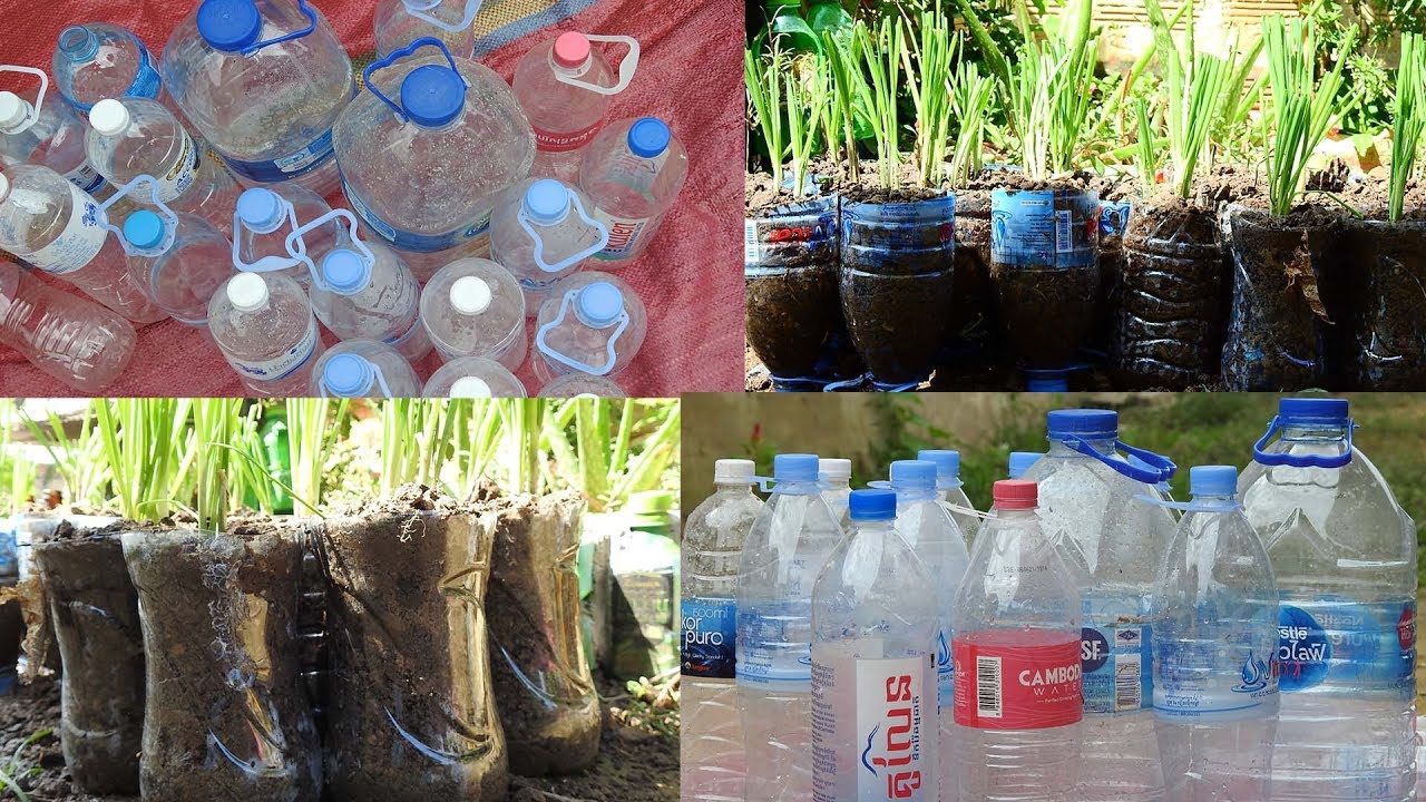 Reusing waste bottle To Make Beautiful vegetable garden / recycle plastic to plant vegetable