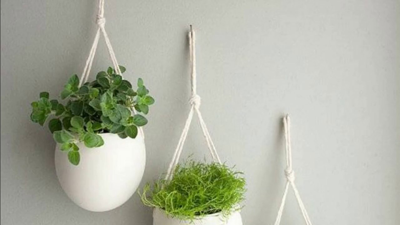 40+ Indoor Garden Ideas