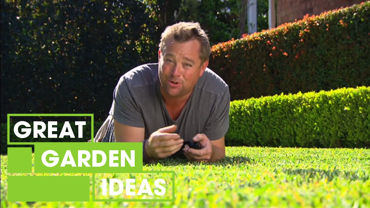 Tips For The Perfect Green Lawn | Gardening | Great Home Ideas