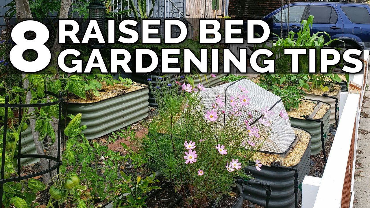 8 Of My BEST Raised Bed Gardening Tips