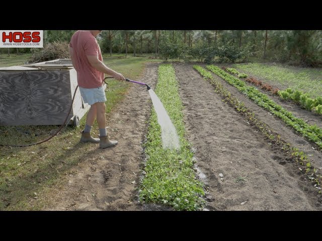 How Much Time Does It Take to Grow a Vegetable Garden?