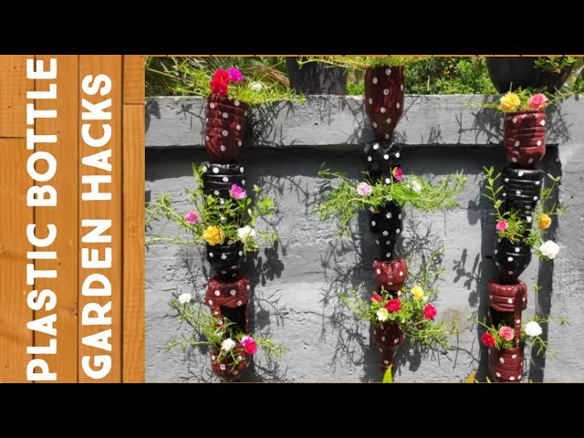 plastic bottle gardening ideas| gardening hacks | plastic bottle crafts| gardening ideas| diy crafts