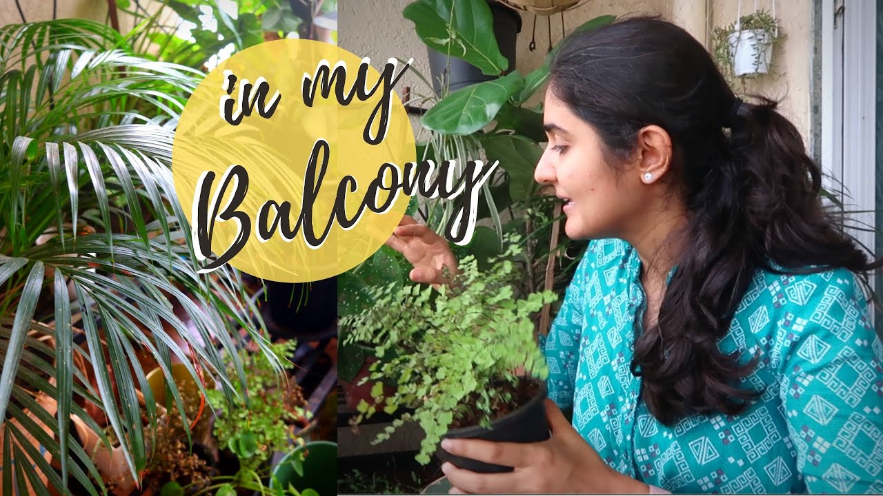 July Balcony Tour | Vegetables, Indoor plants & Flowers for Monsoon