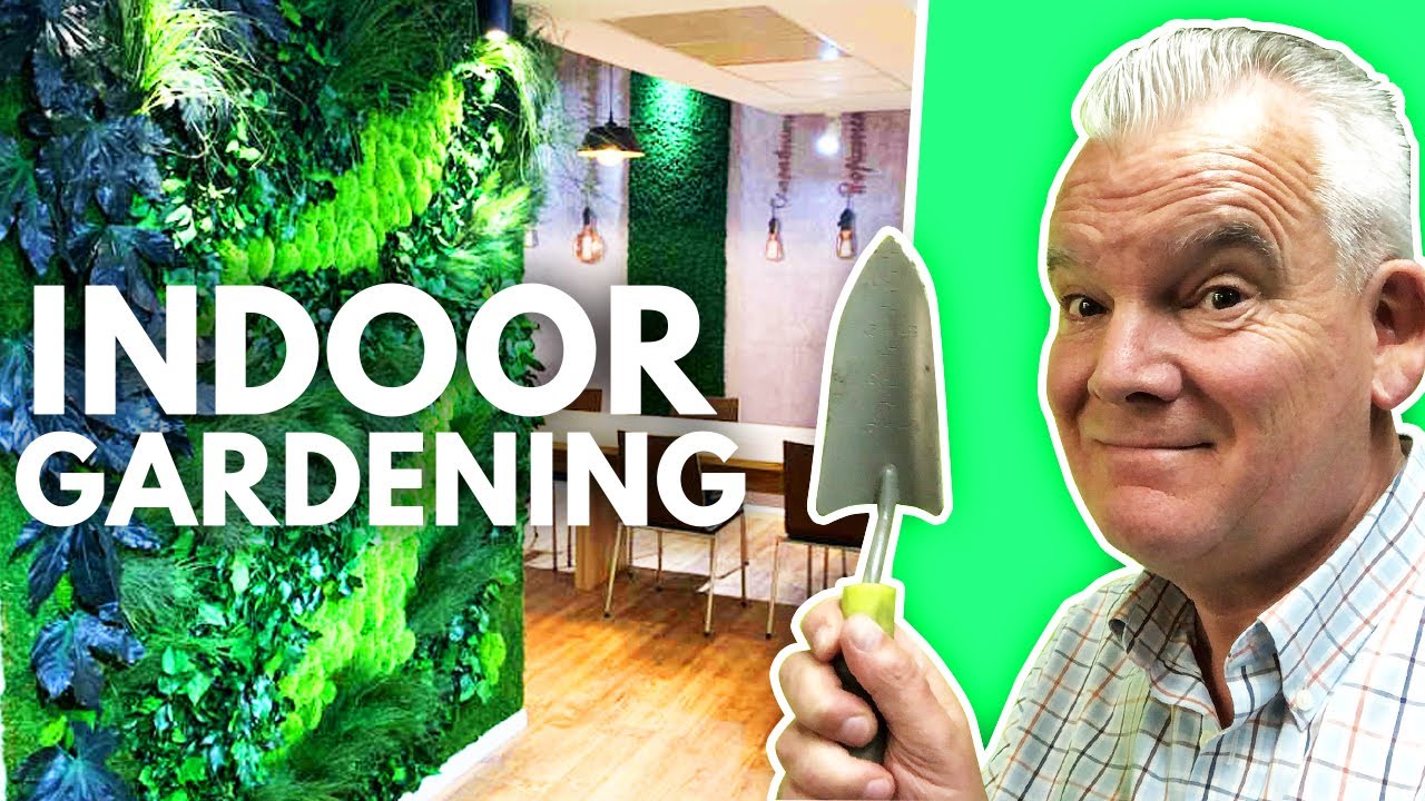 Indoor Gardening | Using Preserved Plants