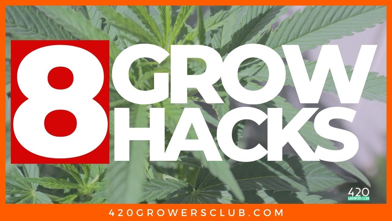 8 GROW HACKS For a Great Cannabis Garden