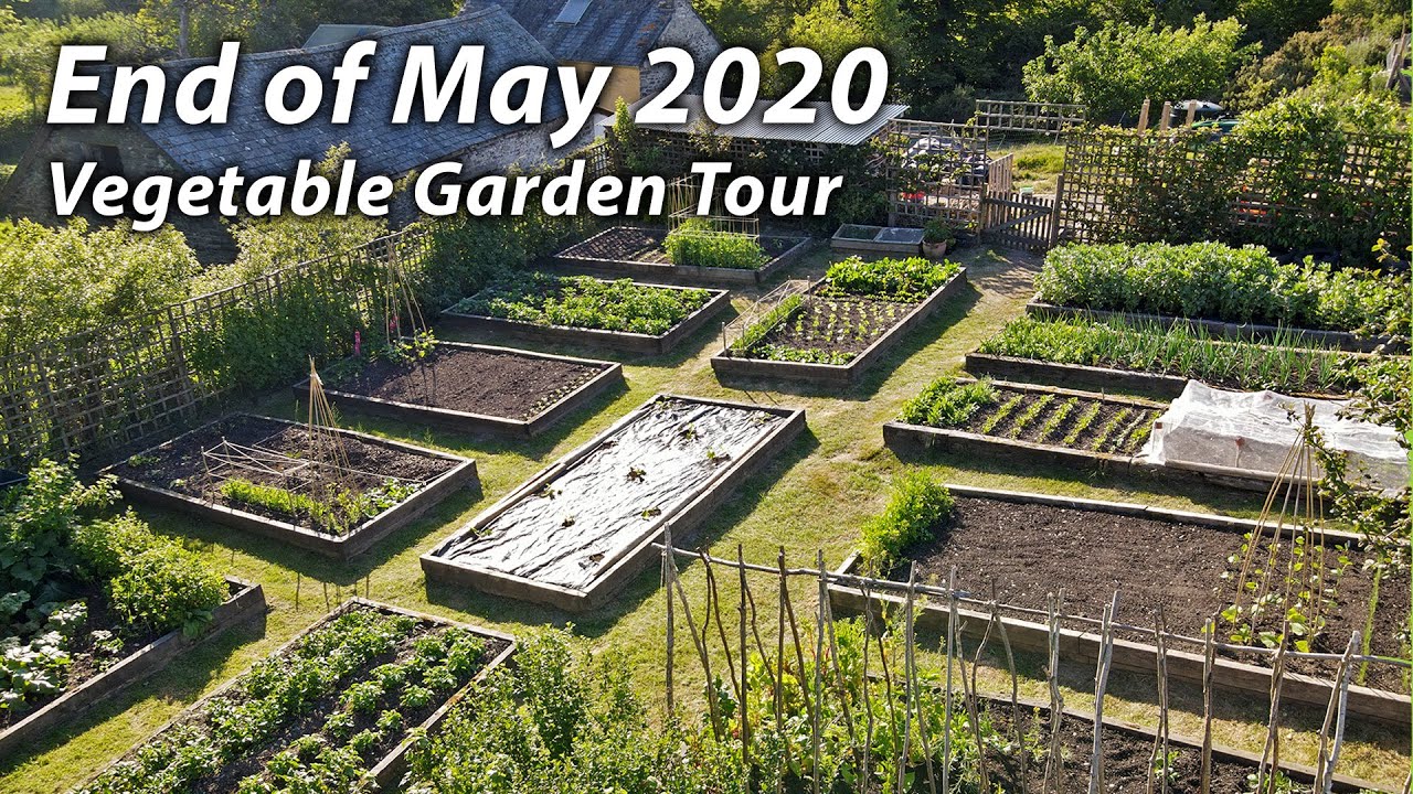 Vegetable Garden Tour | Late May in Our Organic & Permaculture Inspired Kitchen Garden