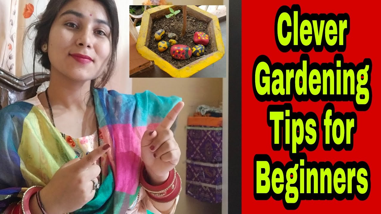 CLEVER GARDENING TIPS FOR BEGINNERS ll  DIY GARDENING IDEAS FOR BEGINNERS ll Zero Budget Ideas