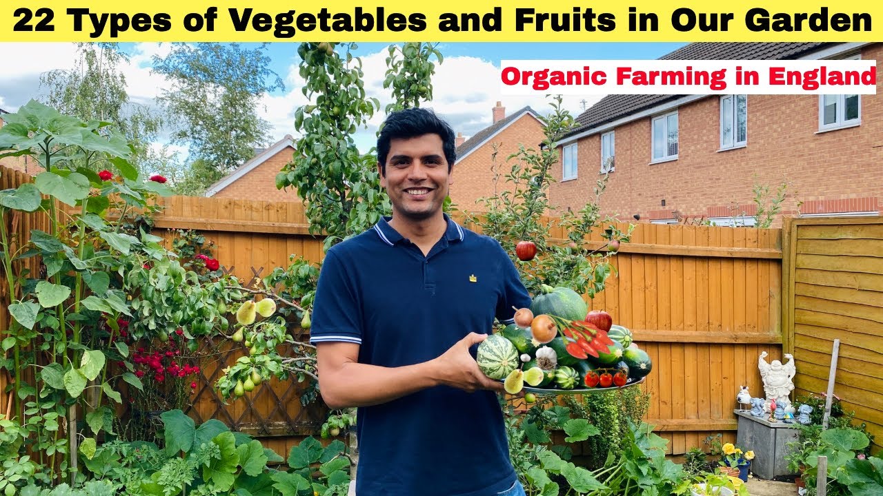 22 Types of Vegetables and Fruits In our Garden| Vegetable Garden Tour in England| Sangwans Studio