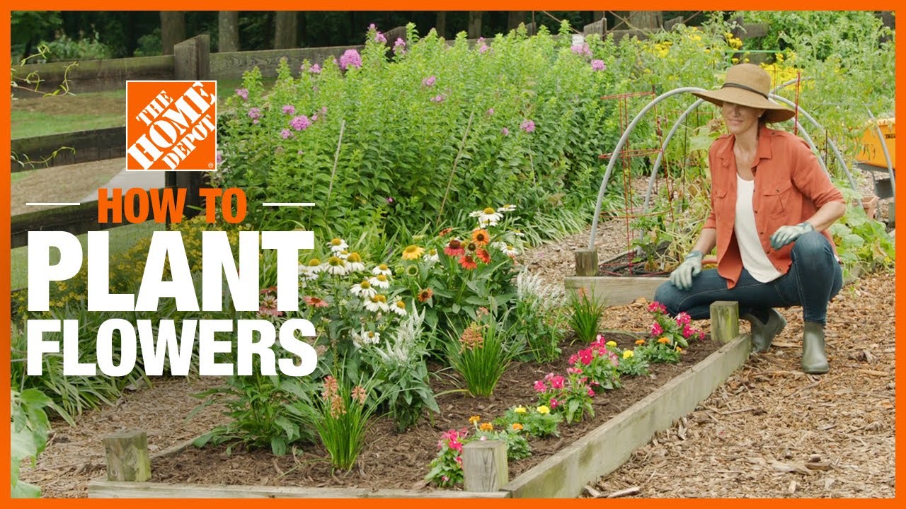 How to Plant Flowers | Gardening Tips and Projects | The Home Depot