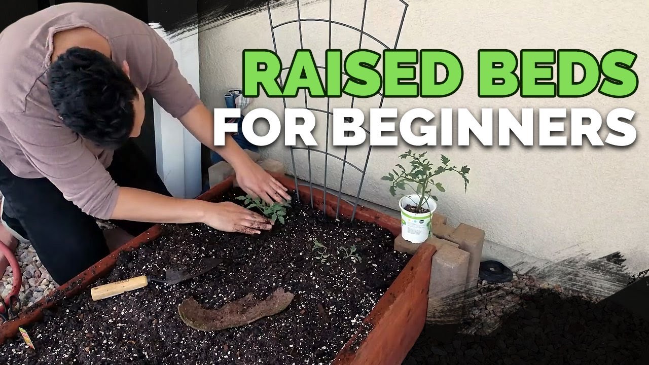 Raised Bed Gardens for Beginners  Planning, Soil Mix, and Planting Guide