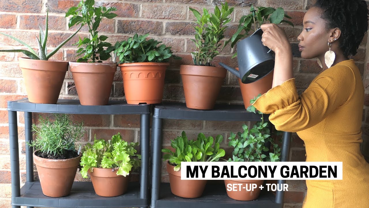 MY APARTMENT BALCONY VEGETABLE GARDEN | CONTAINER GARDENING BEGINNER TIPS, SET-UP & TOUR