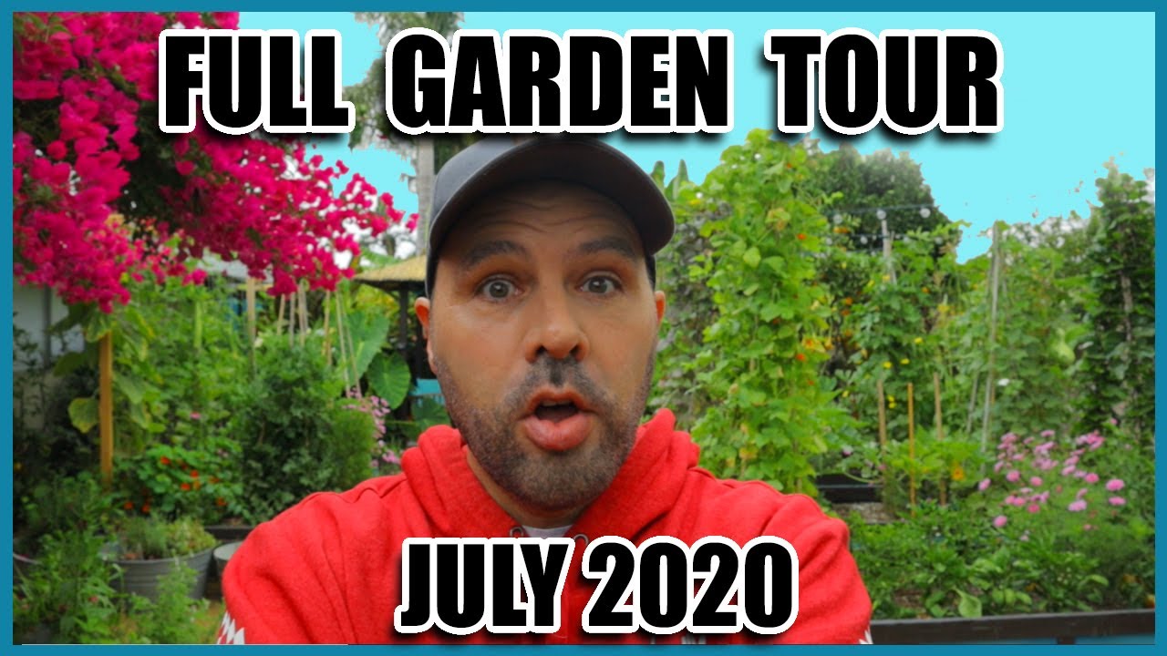 Full Organic Vegetable Garden Tour  July 2020  California Garden TV