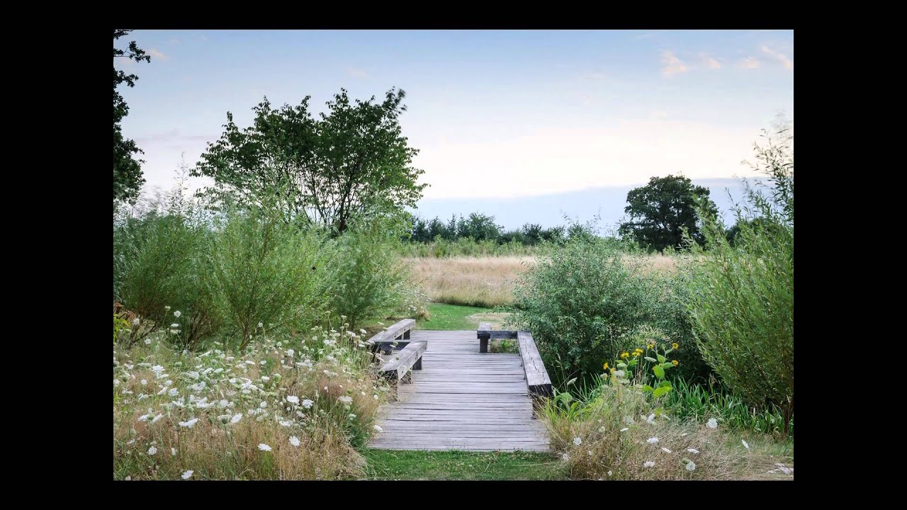 ART OF THE GARDEN: Dan Pearson, The Garden as Vision