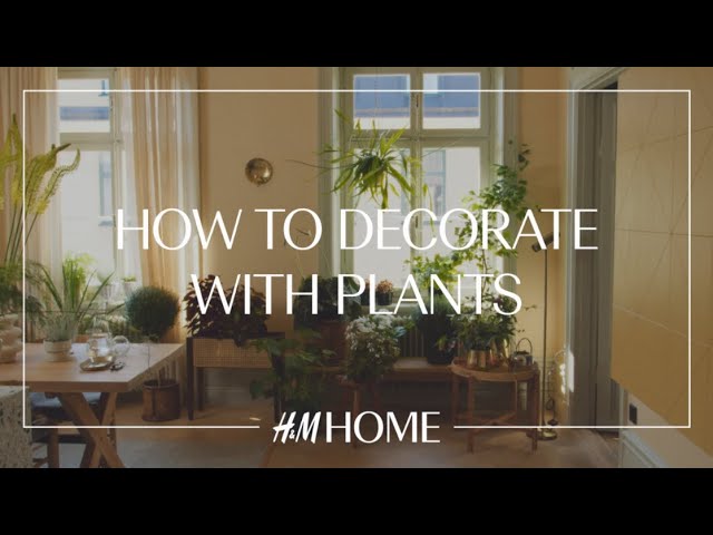 Decorate with plants: 4 indoor gardening ideas