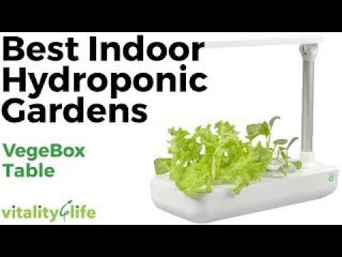 Best Hydroponic Indoor Gardens | VegeBox Table | Vitality 4 Life