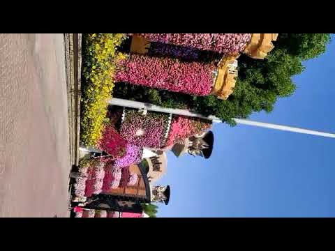 Dubai Miracle Garden | The Dubai Miracle Garden is a flower garden