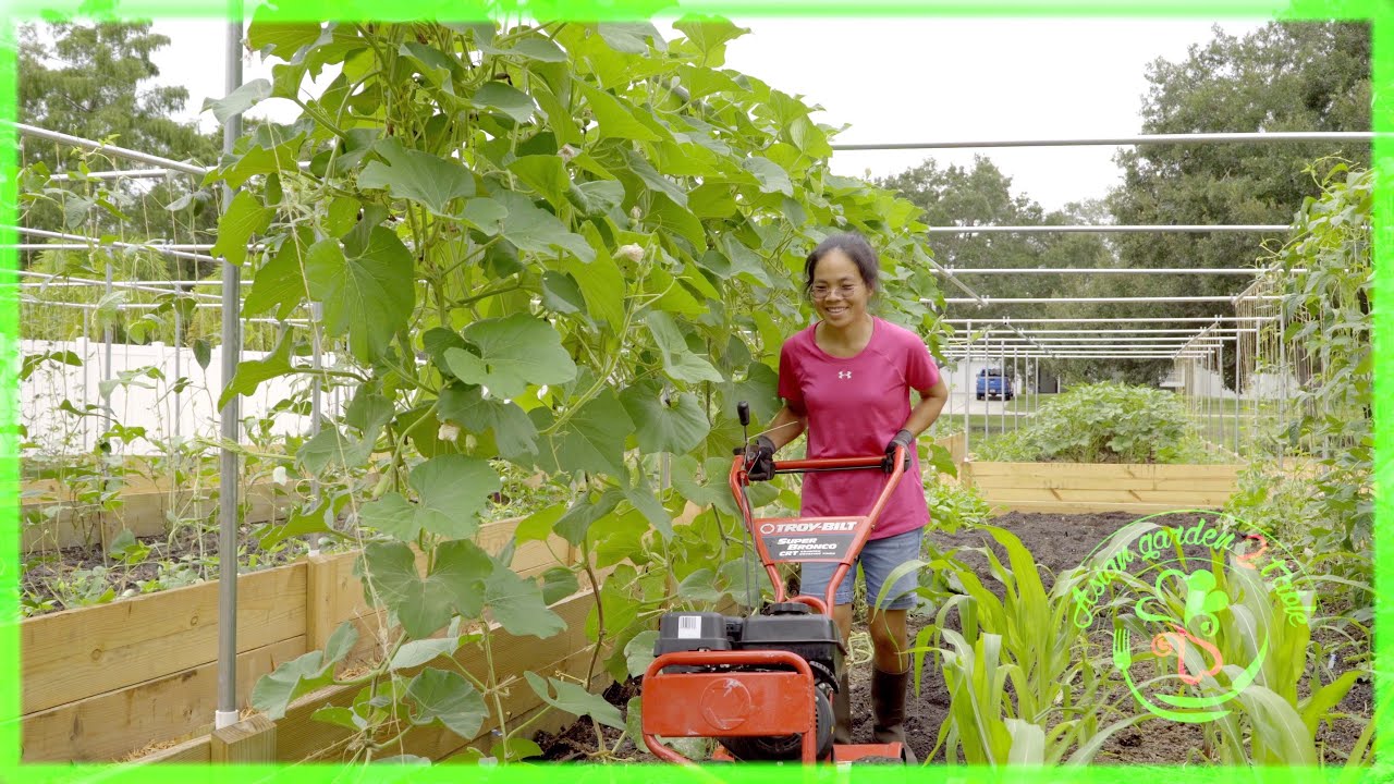 The secret to a successful vegetable garden, hubby asked and disclose