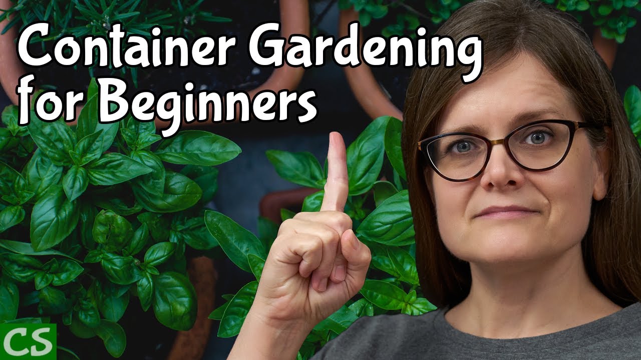 Container Gardening Vegetables for Beginners