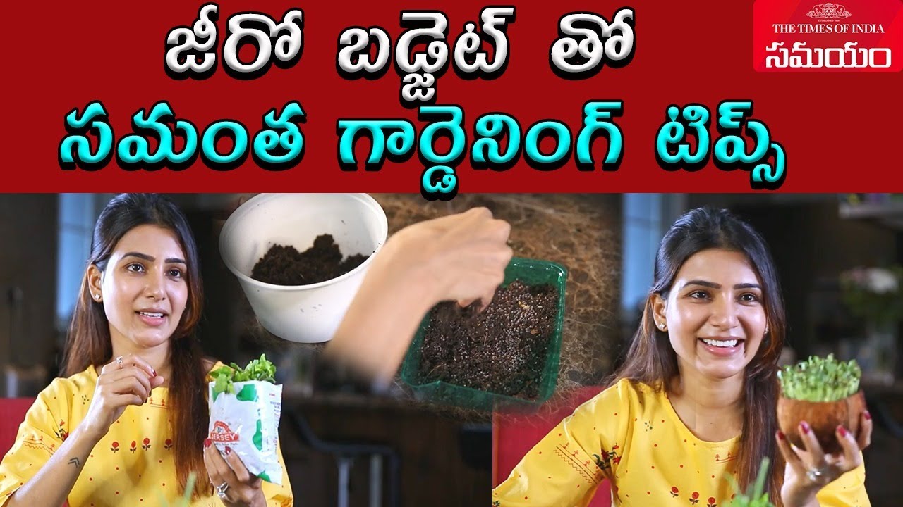 Samantha Home Gardening Tips With Zero Budget || Samantha Akkineni || Latest Video ||Samayam Telugu