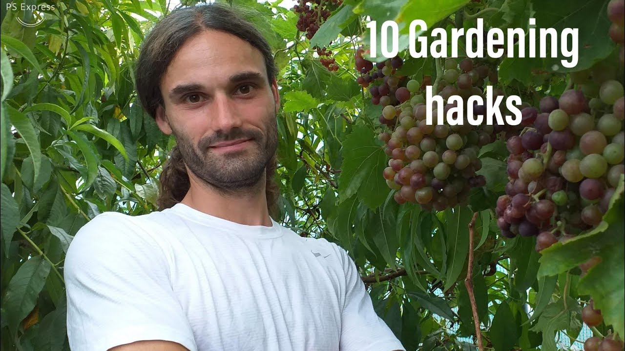 10 beginner gardening hacks for busy people!