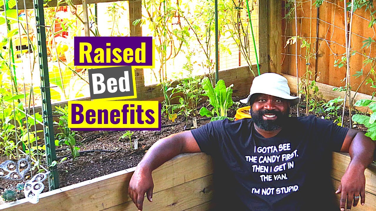 Raised Beds Benefits | Organic Gardening For Beginners