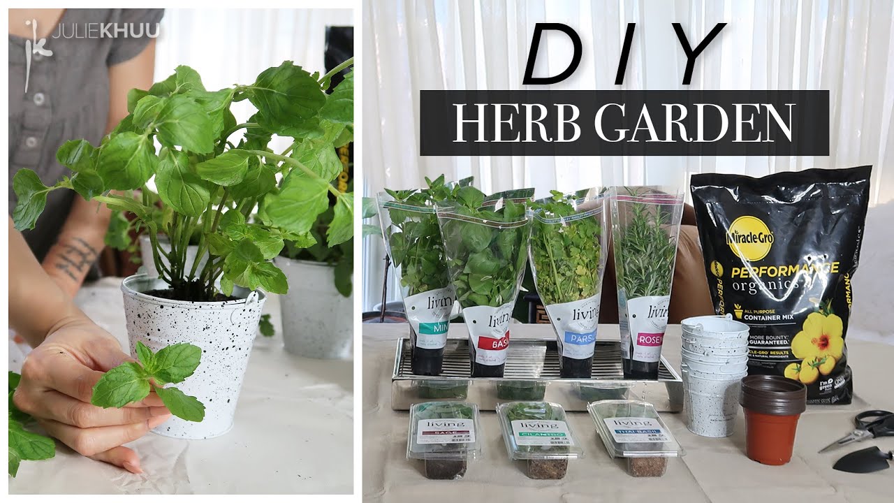 DIY HERB GARDEN | Indoor or Outdoor Herb Garden | Julie Khuu