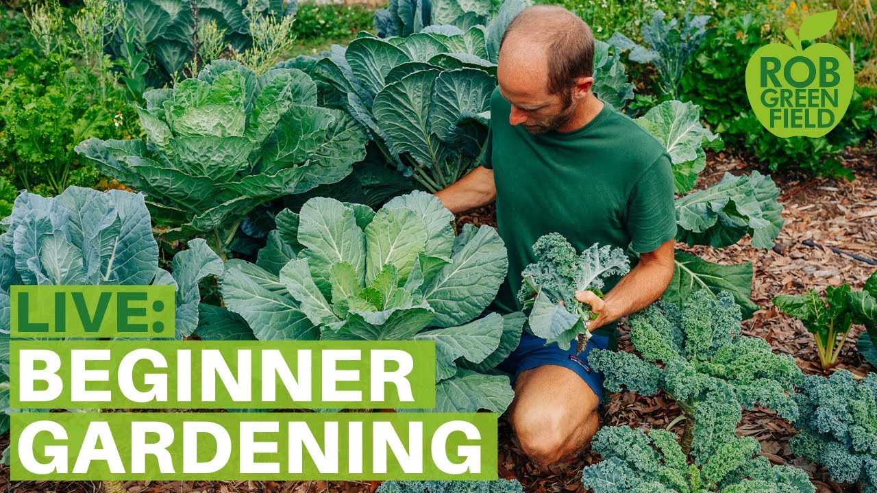 Rob Greenfield Live: Gardening for Beginners  Grow Your Own Food