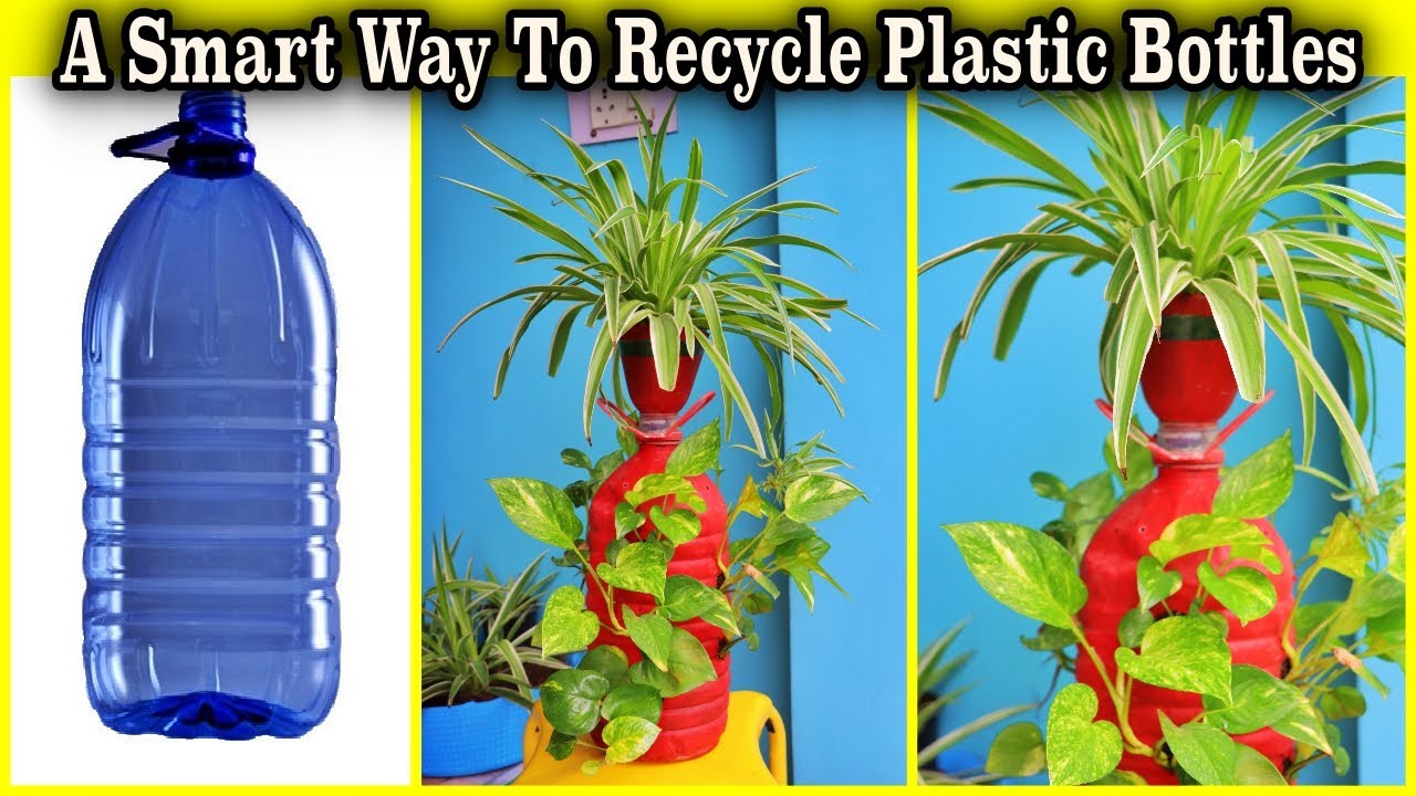 Smart Use of Recycle Standing Plastic Bottles to Grow Indoor Plants || (Easy Indoor Gardening Tips)