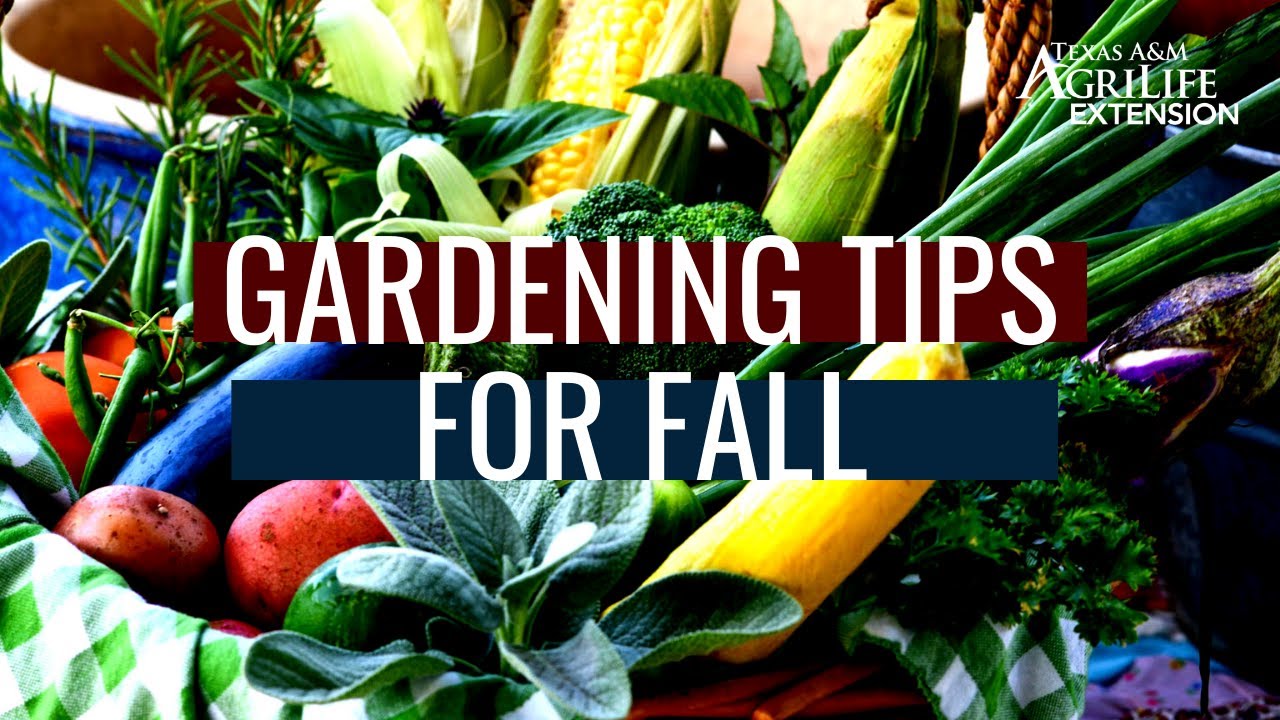 Gardening Tips for Fall