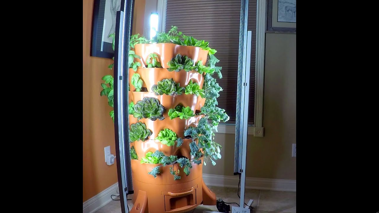 21 Days Growth: Garden Tower Indoor Time Lapse