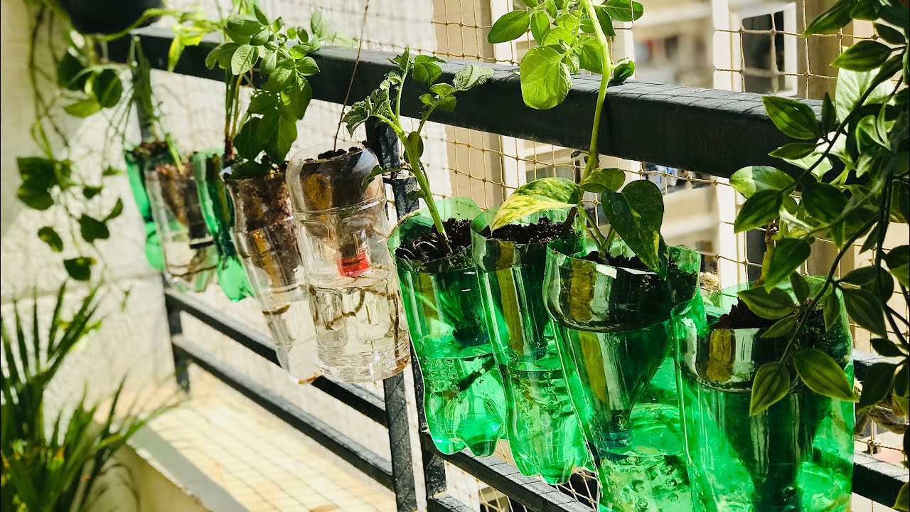 Amazing Plastic Bottle Vertical Garden Ideas for Home | Small Balcony Garden Ideas | DIY Garden