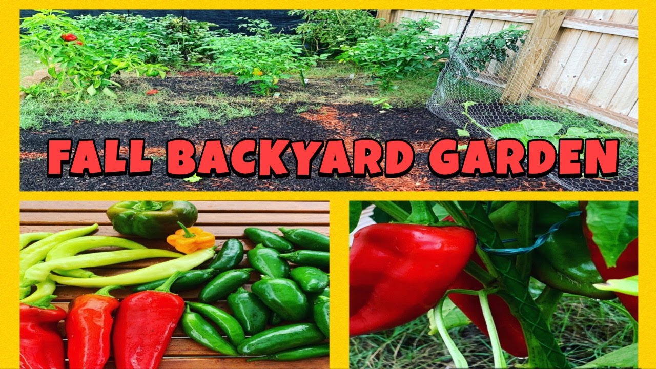 FALL GARDEN TOUR & UPDATE | Gardening For Beginners | Backyard Garden