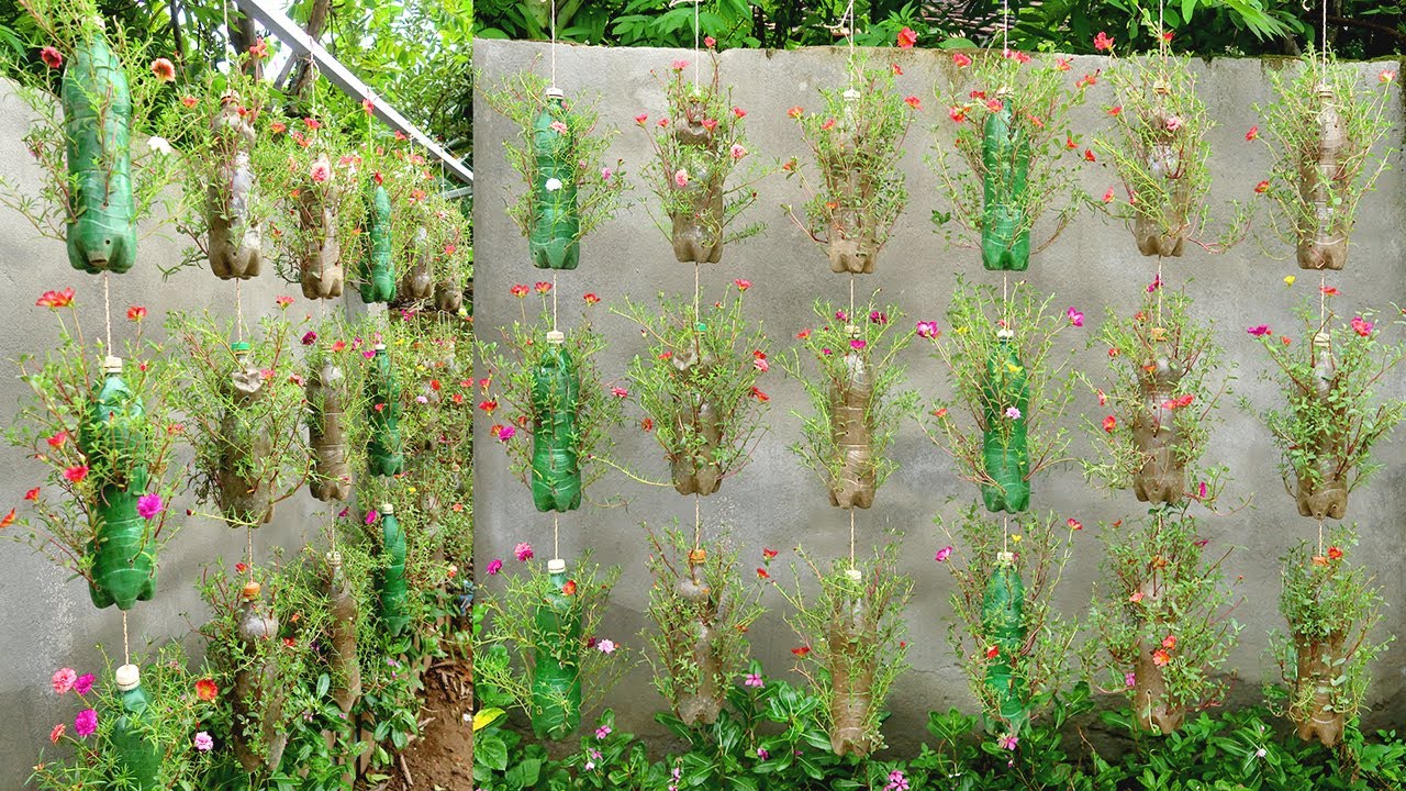 Wonderful Hanging Garden from Plastic Bottles, Remarkable Recycled Gardening Ideas