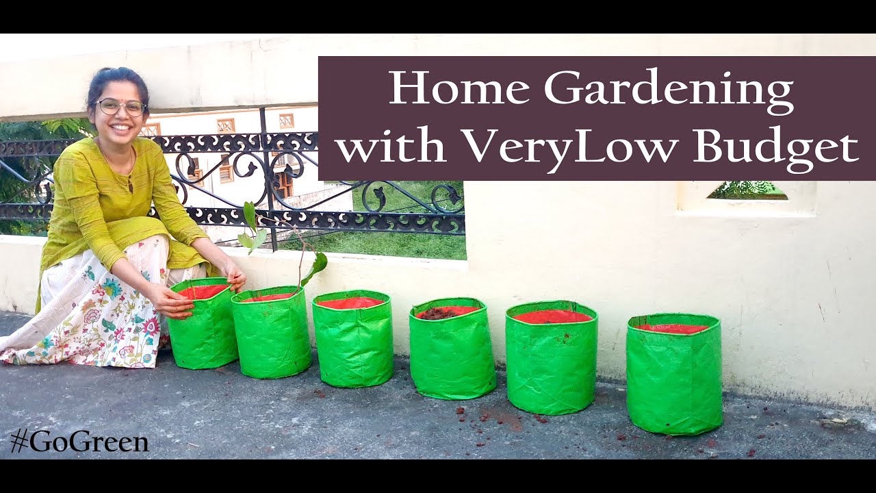 Home Gardening with Very Low Budget | Gardening for Beginners | HyderabadLo TamilPonnu