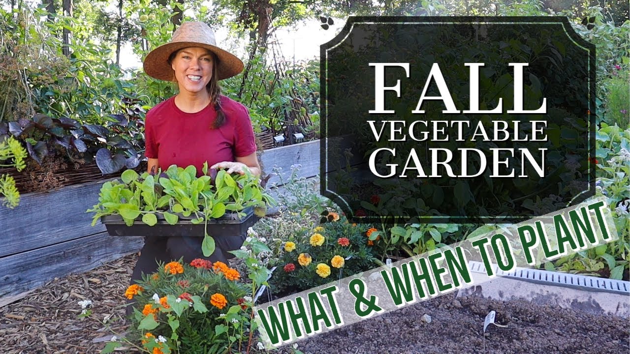 What Im Planting Now Fall Vegetable Garden Zone 6