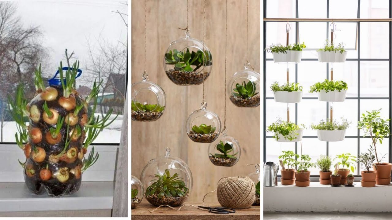 10 Small Indoor Garden Ideas