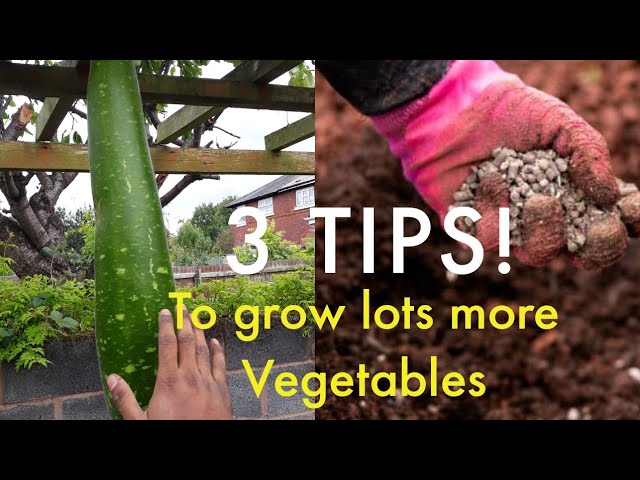 Gardening Tips, Tricks & Hacks that Actually Work