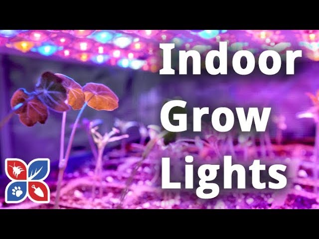 Indoor Grow Lights  Indoor Gardening Tips | DoMyOwn.com