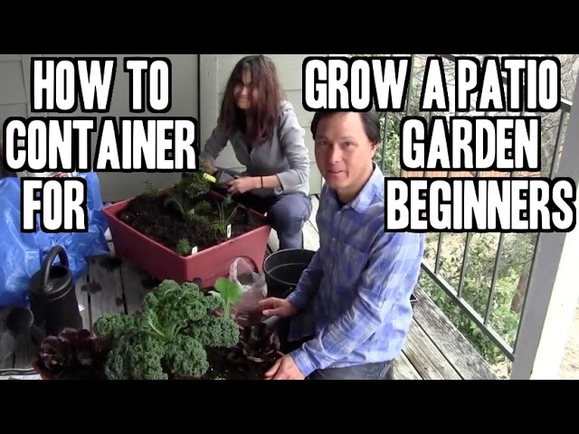 How to Grow an Easy Patio Apartment Container Garden for Beginners