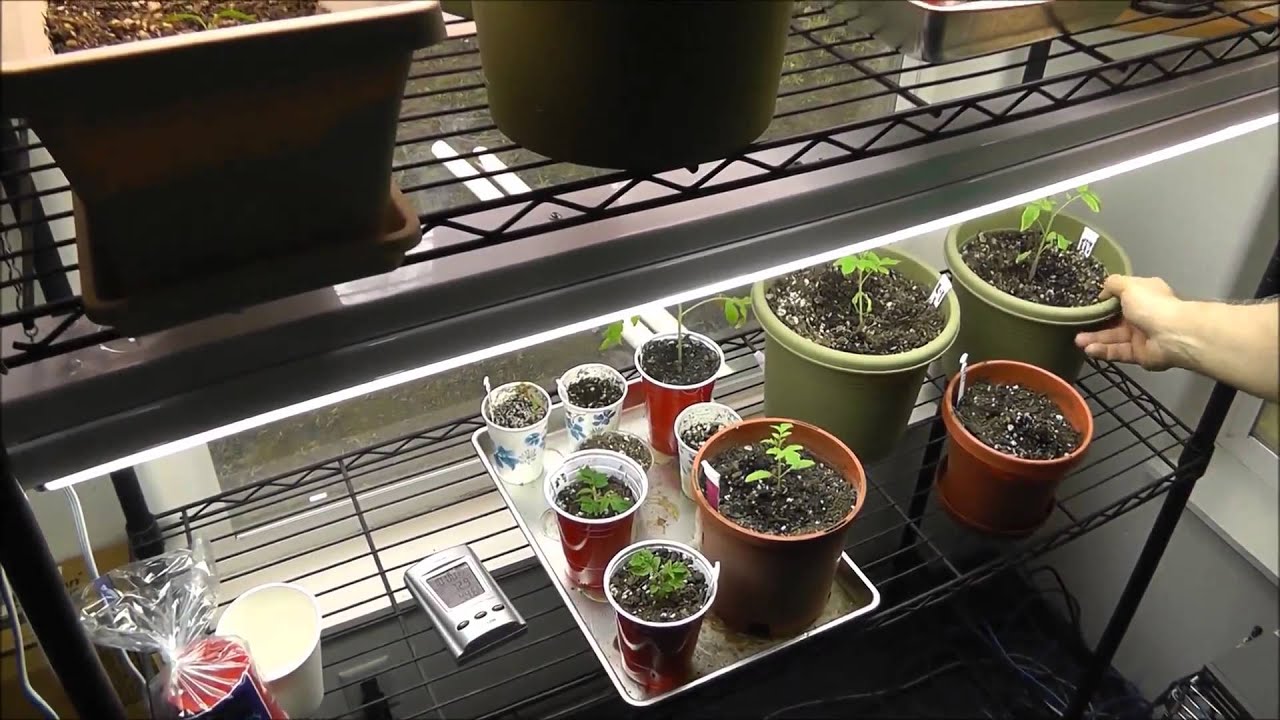 Indoor Gardening Grow Room Tour