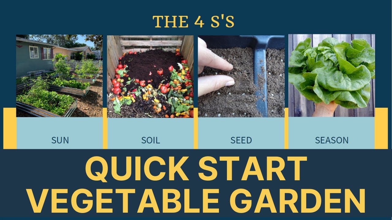 How To Start A Vegetable Garden | Central Florida Gardening 101 for Self Sufficiency