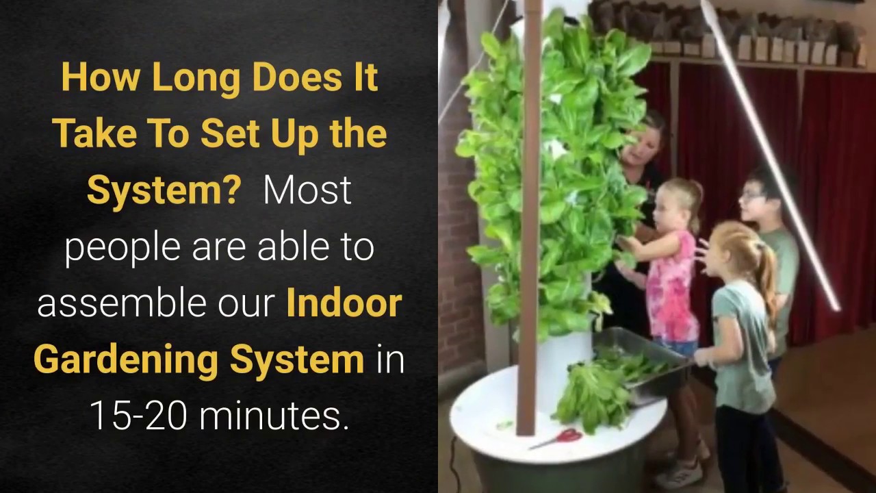 Grow Your Own Food With Indoor Gardening System